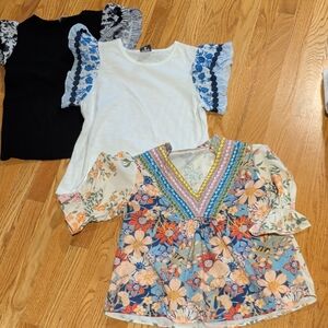 Bundle of Ladies Boutique Tops